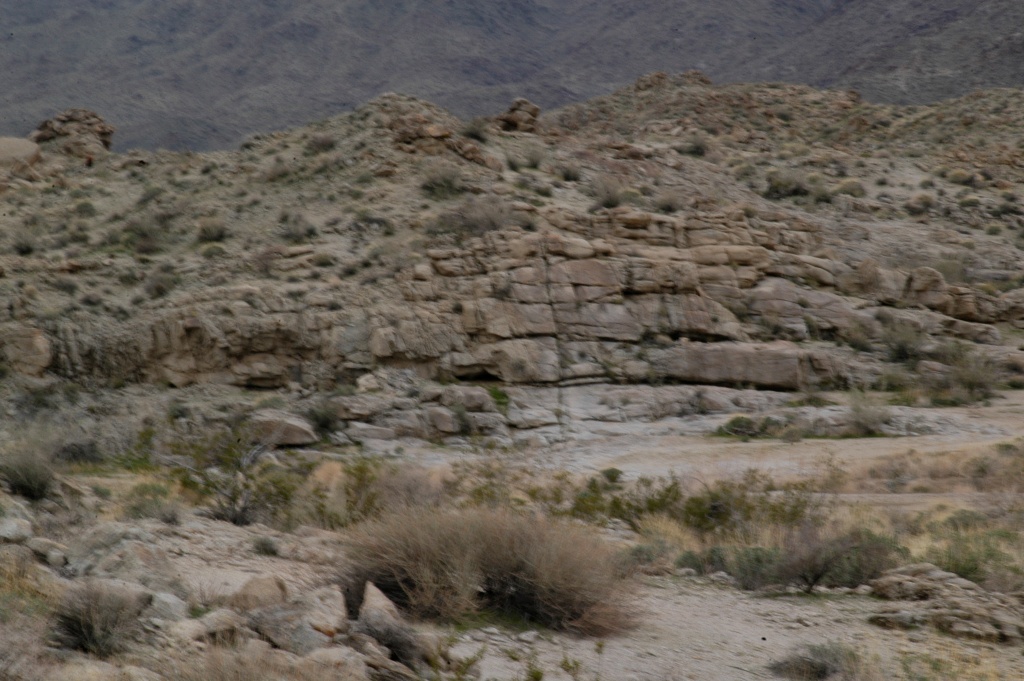 DSC_0082.JPG