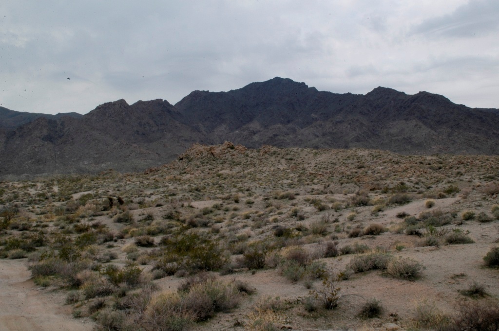 DSC_0083.JPG