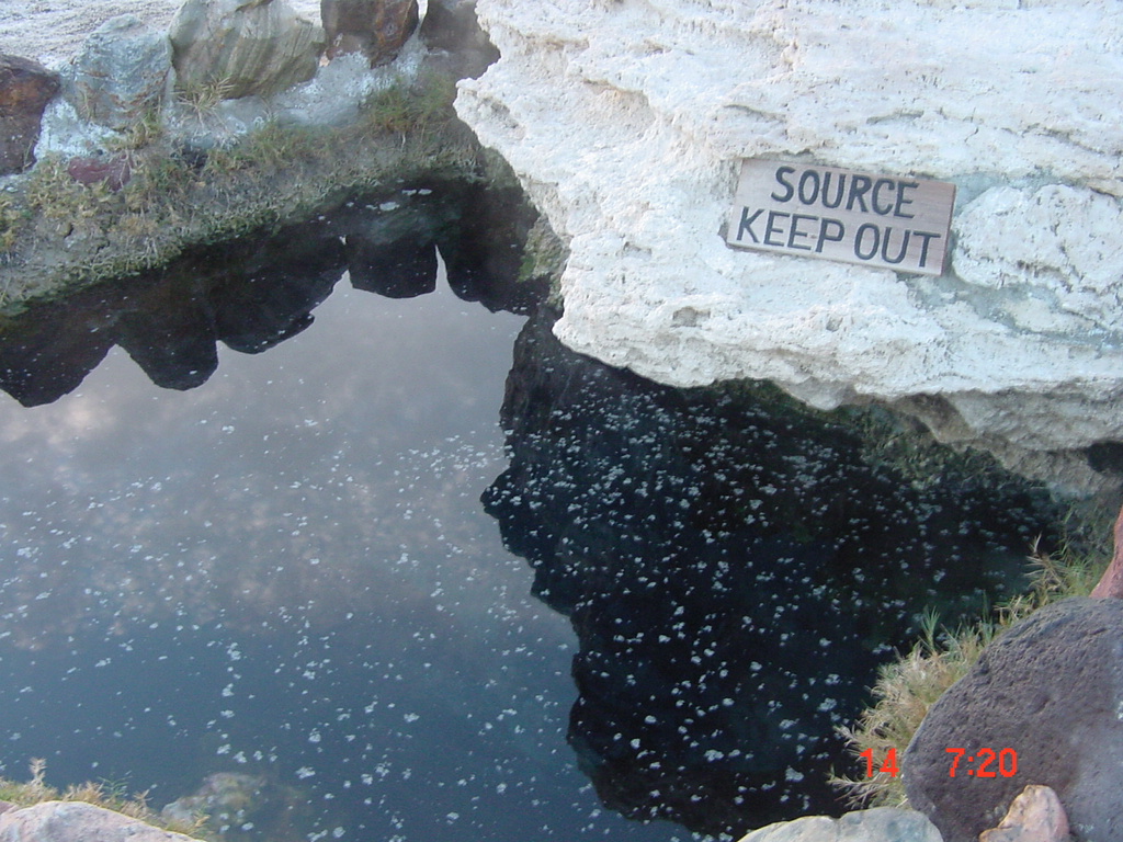The source - lower warm springs