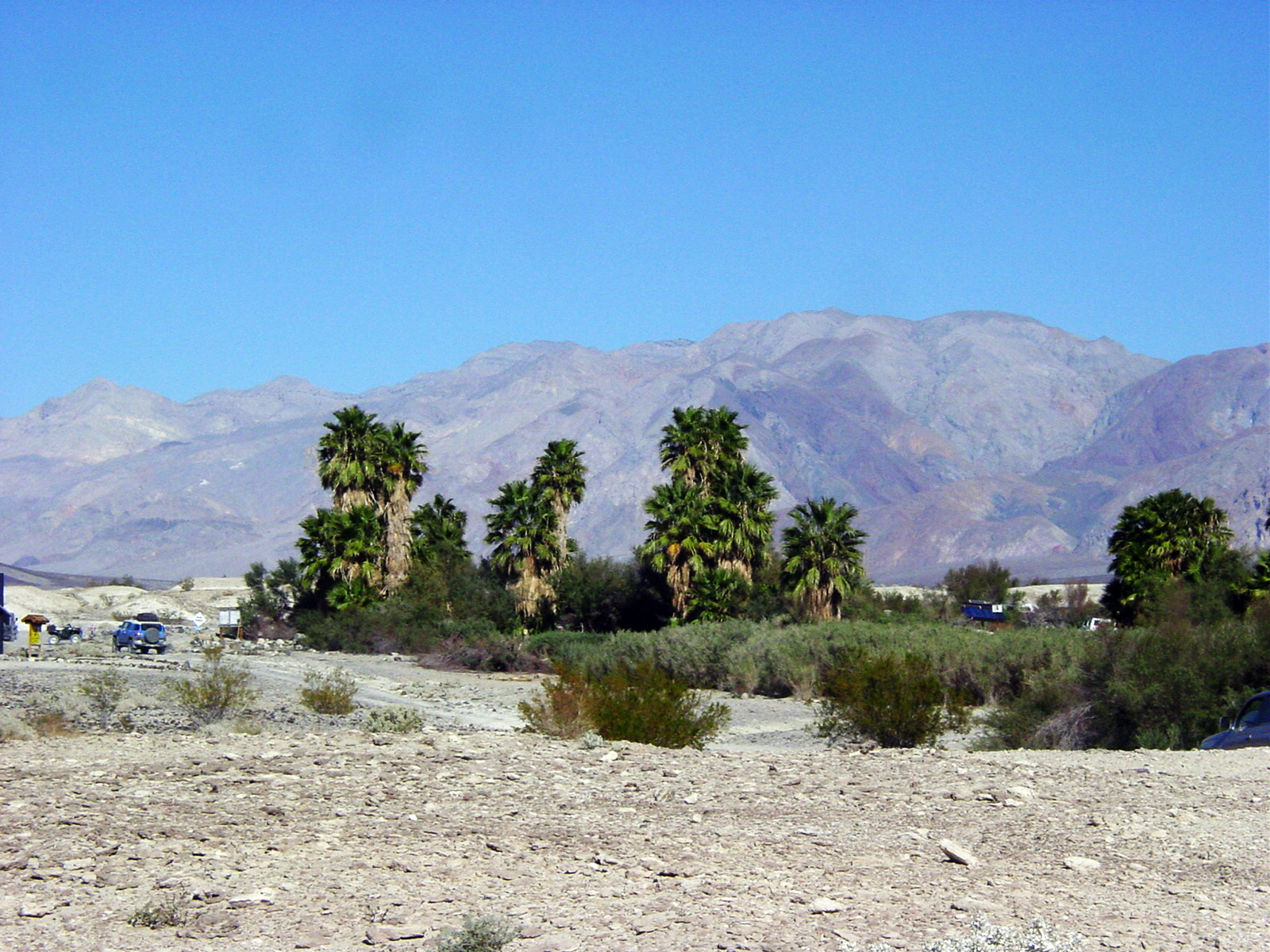 Lower warm springs