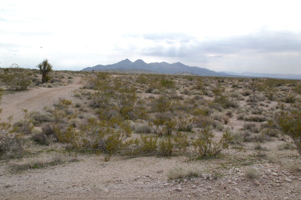 DSC_0089.JPG