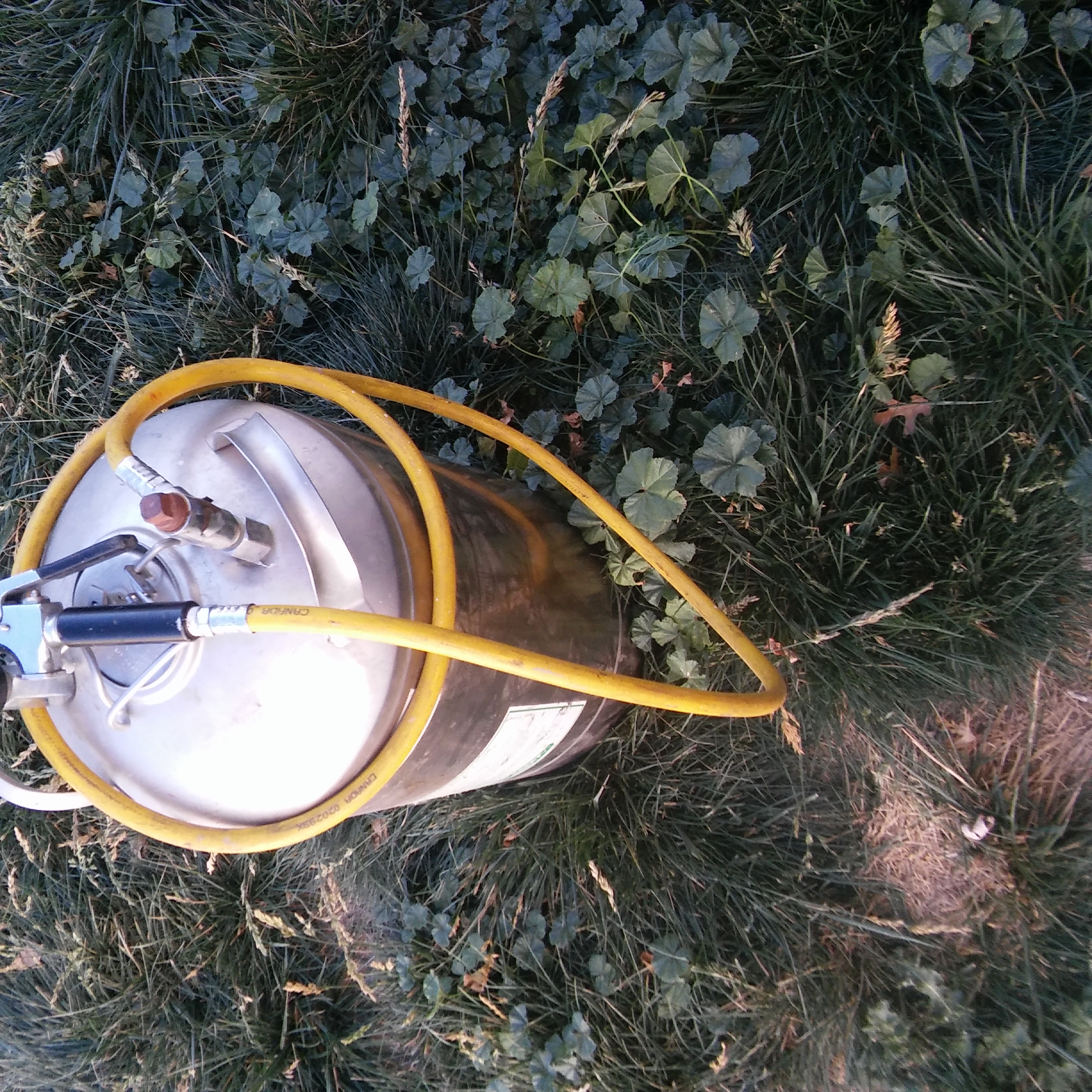 20161107_150534.jpg