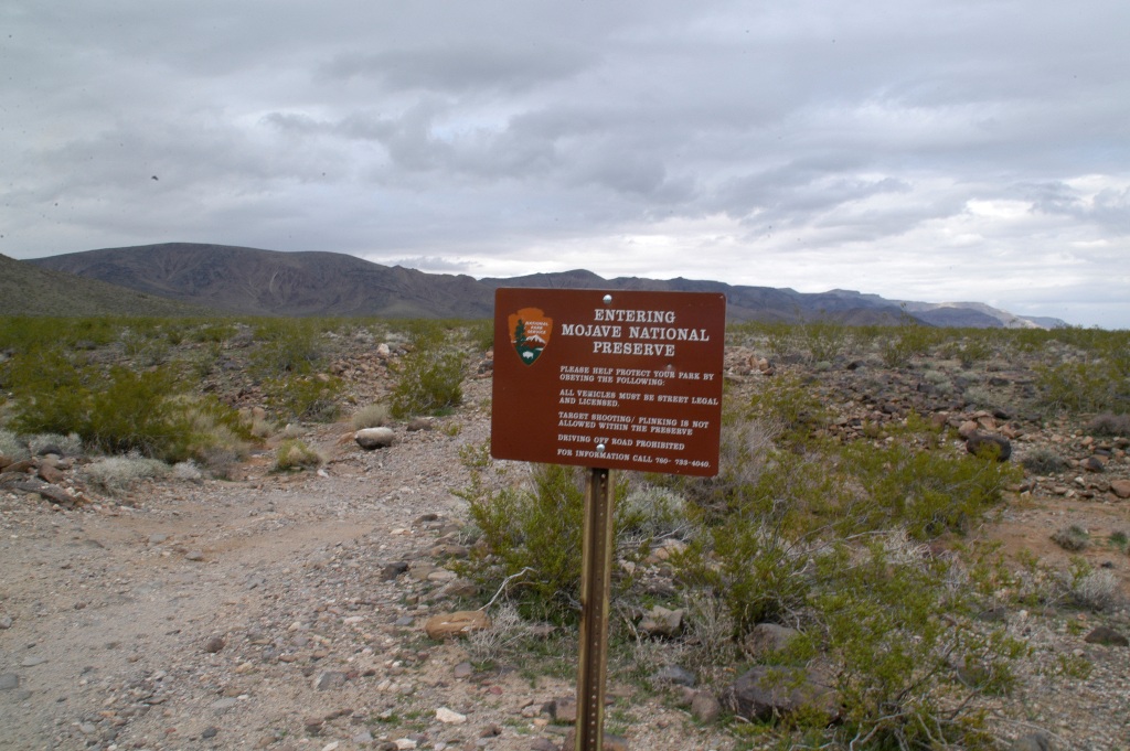 DSC_0092.JPG