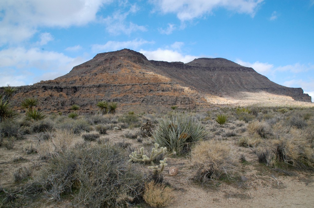 DSC_0119.JPG
