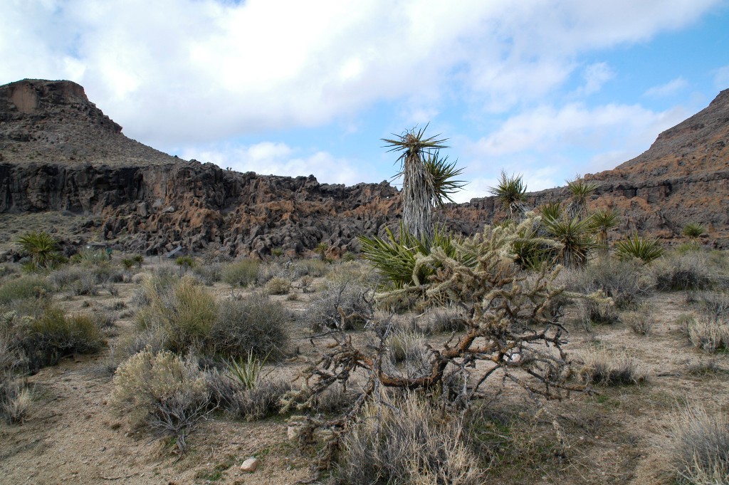 DSC_0120.JPG