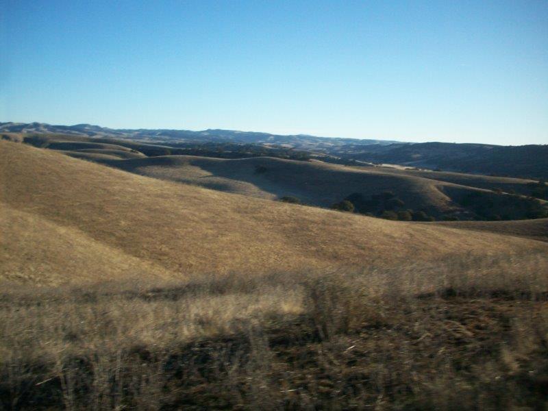 B - Private Land - Some Ranches are huge and provide extensive vista and space to hunt.