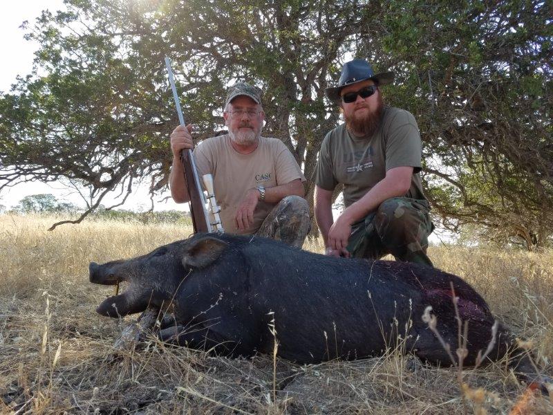 P - Boar are tough, smart animals that provide a hunting challenge.