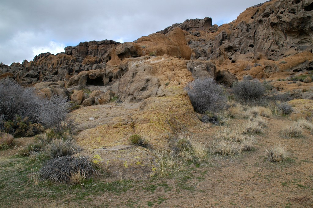 DSC_0137.JPG