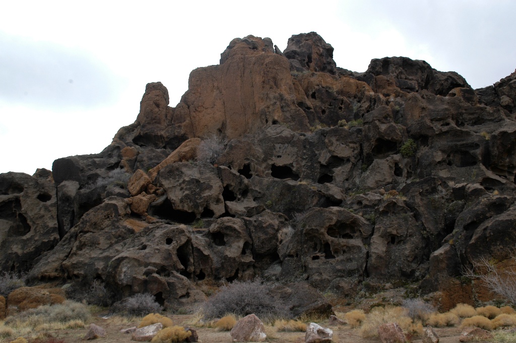 DSC_0138.JPG