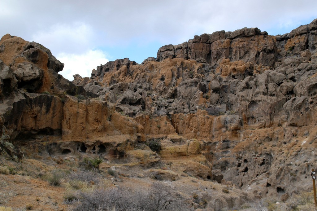 DSC_0139.JPG