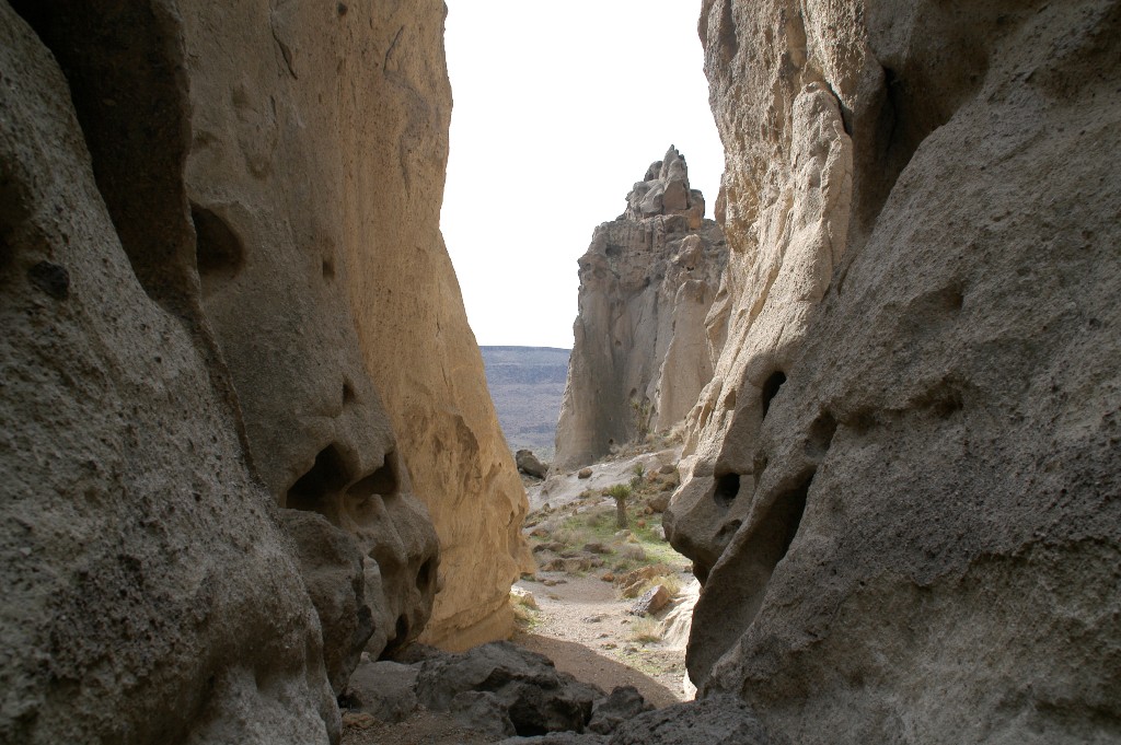 DSC_0155.JPG