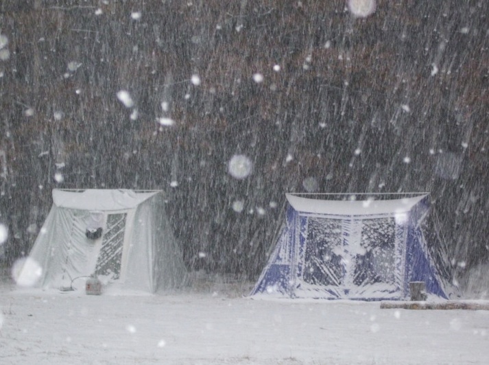 Springbar in Snow 2.jpg