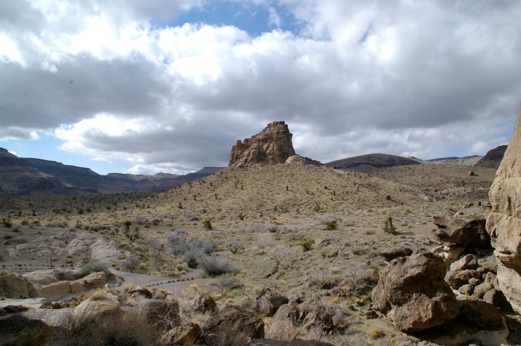 DSC_0165.JPG