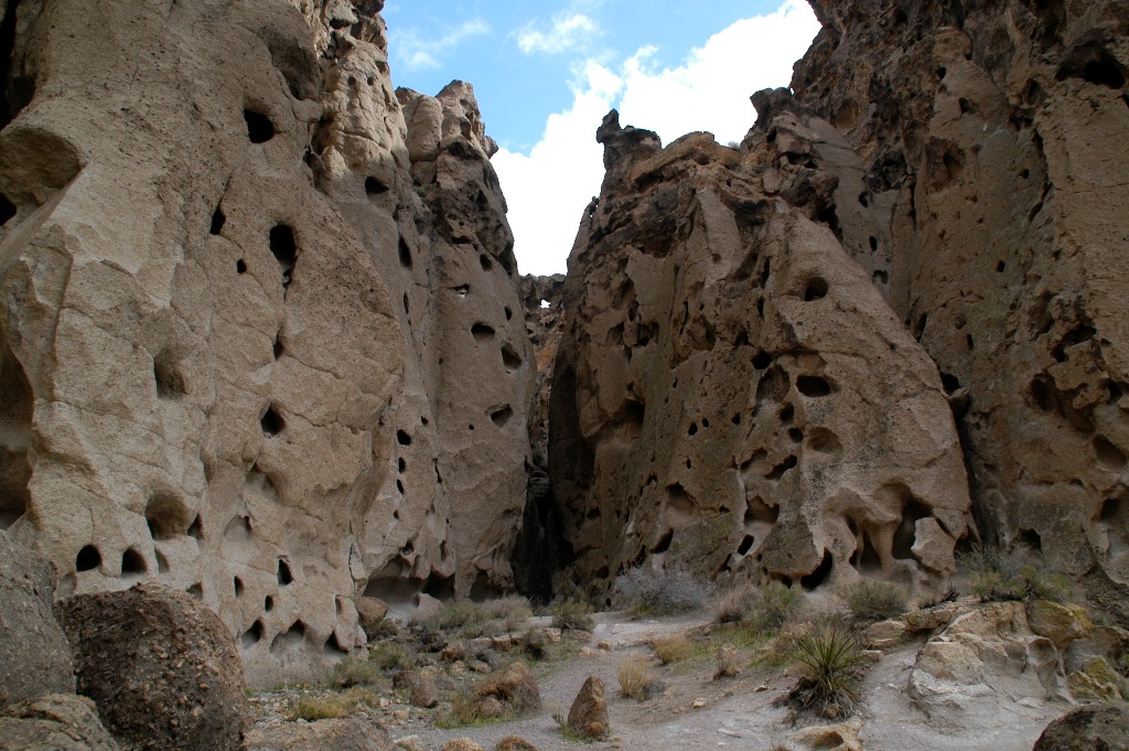 DSC_0170.JPG