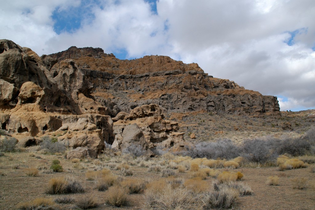 DSC_0173.JPG