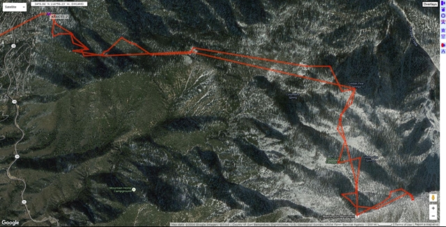 03  Satellite imagery that gives you a good idea of the flora and overview of the area.