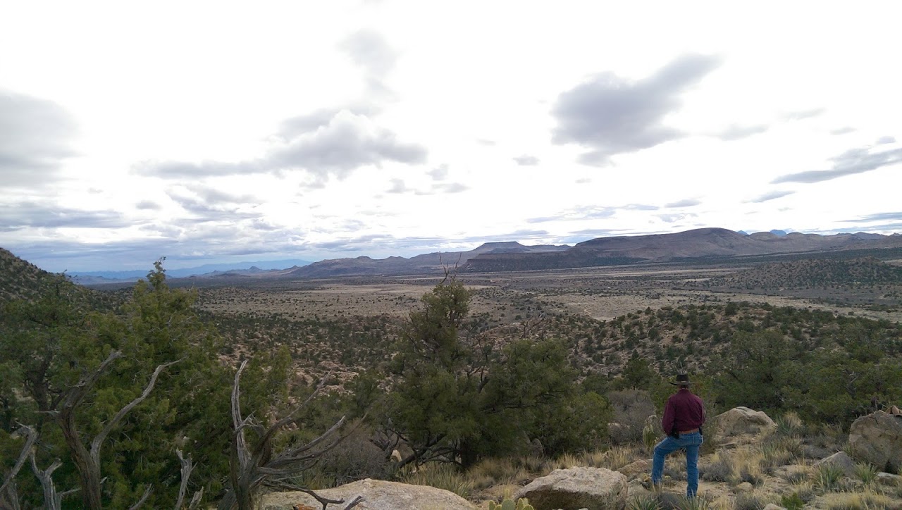 What a View!!.jpg