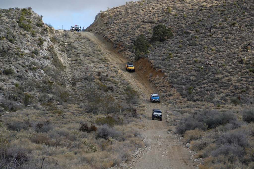 DSC_0180.JPG