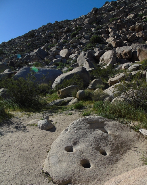 Native Americans used these rock grinding surfaces to process their seeds and nuts in to meal.  They returned time after time until finally we are left with only the traces they were there.  Anyone ever find a pestle?