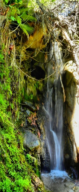 Not a huge waterfall but a significant find in any desert landscape, this was no exception.