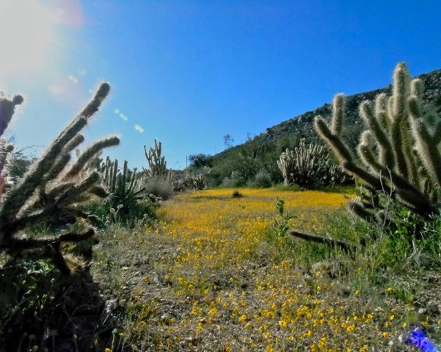 En Route to the Morteros Trail