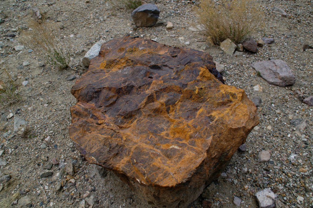 DSC_0194.JPG