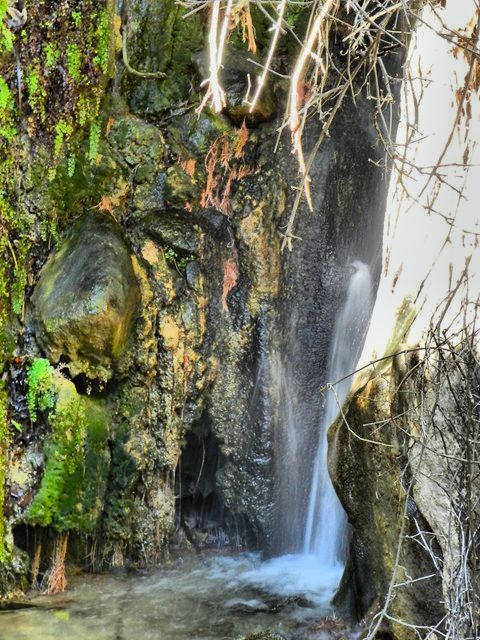 Maidenhair Falls 04.jpg