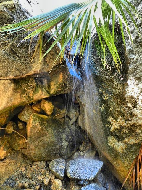 Maidenhair Falls 05.jpg