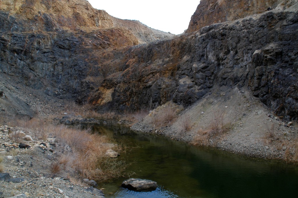 DSC_0200.JPG