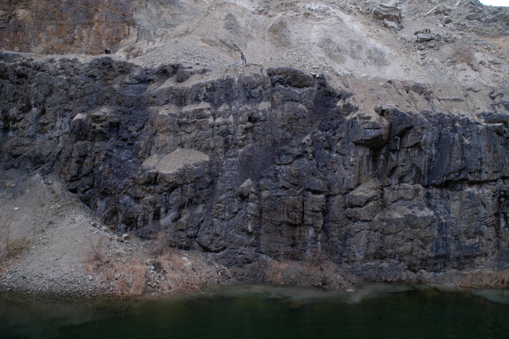 DSC_0202.JPG