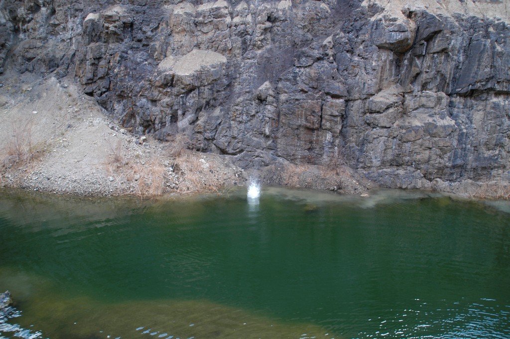 DSC_0208.JPG