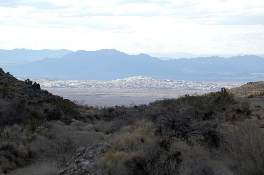 DSC_0241.JPG