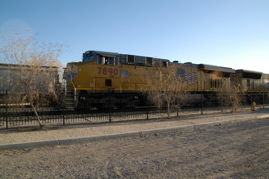 DSC_0252.JPG