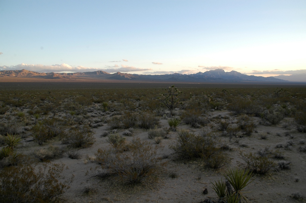 DSC_0271.JPG