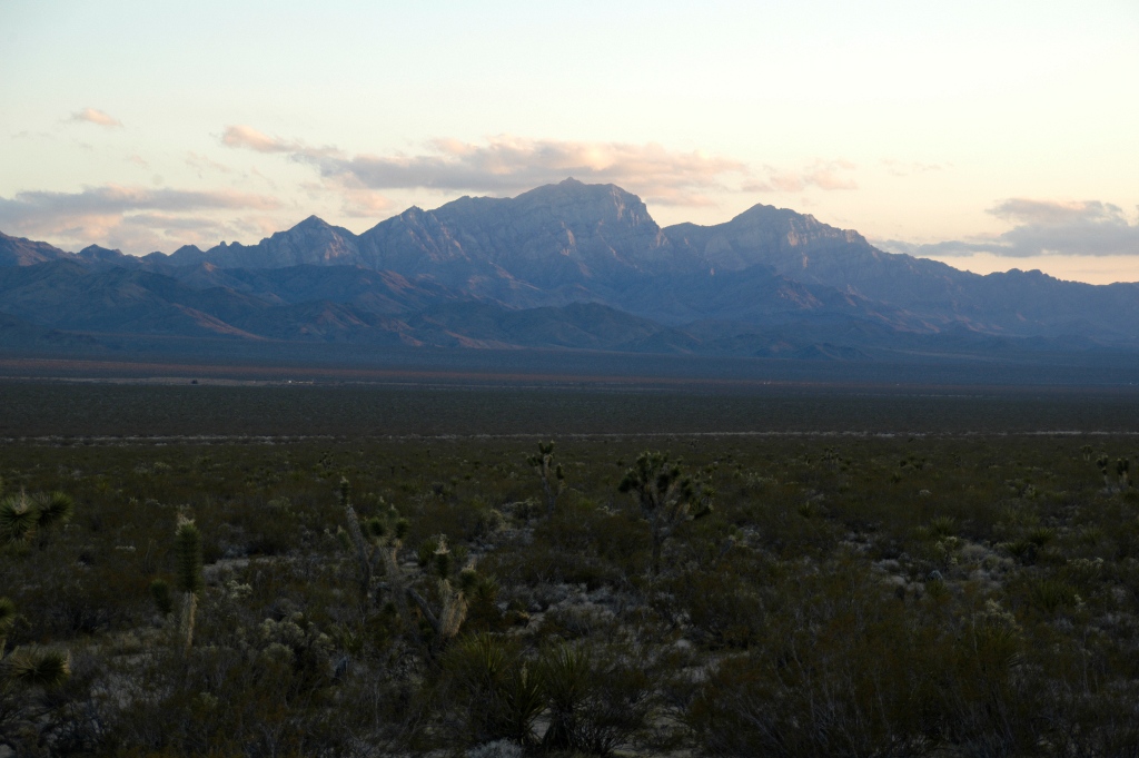 DSC_0274.JPG