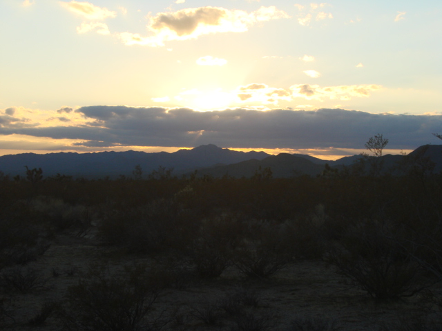 DSC02614.JPG
