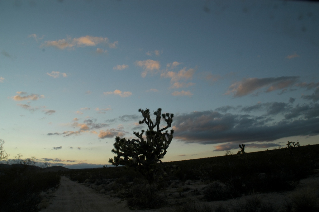DSC_0287.JPG