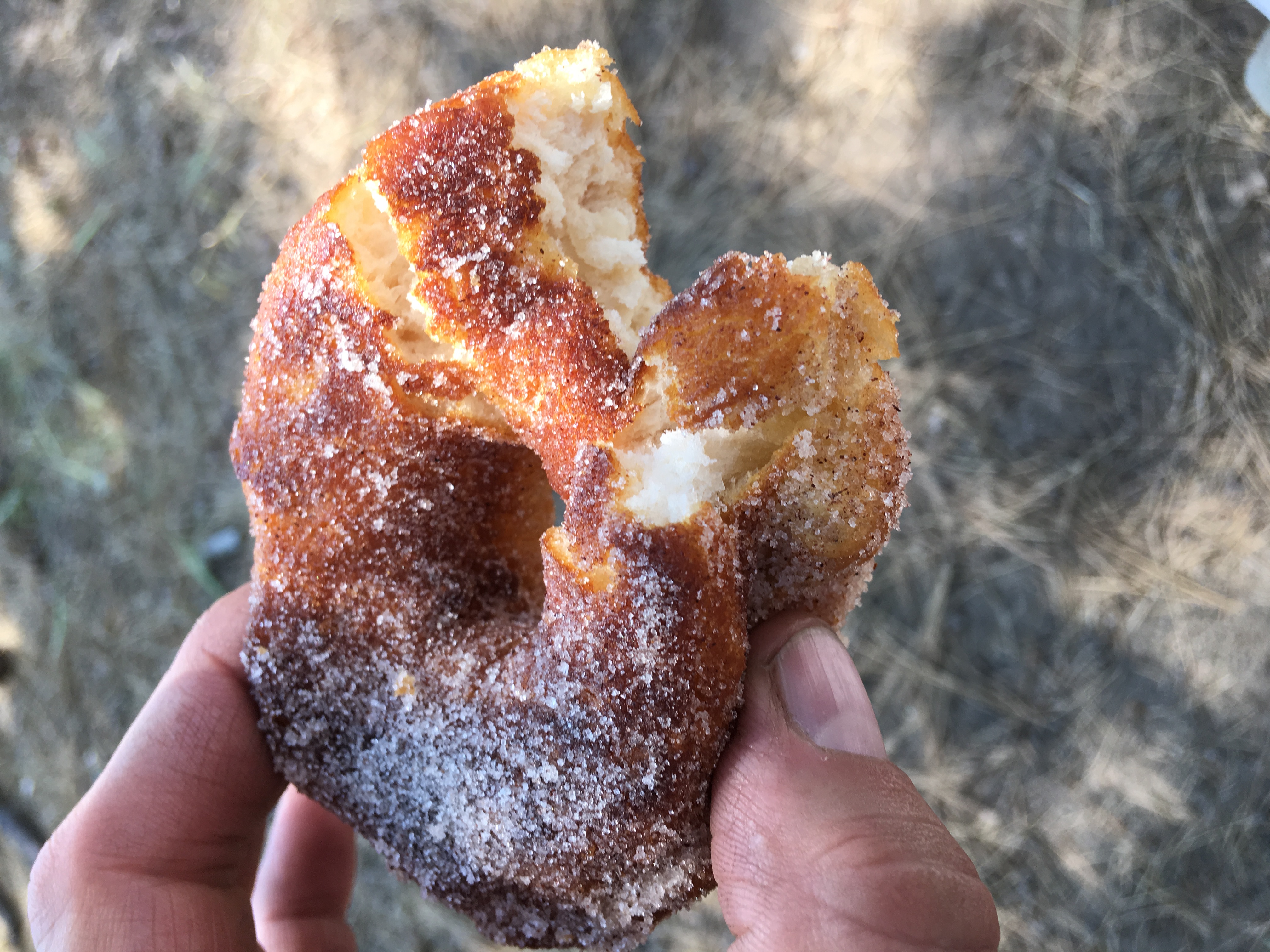 Field Day 2016<br />OK, I admit to a donut problem,  but Tom's Cinnamon Sugar Donut brought me more satisfaction than any other Dutch Oven Meal I have ever tried.