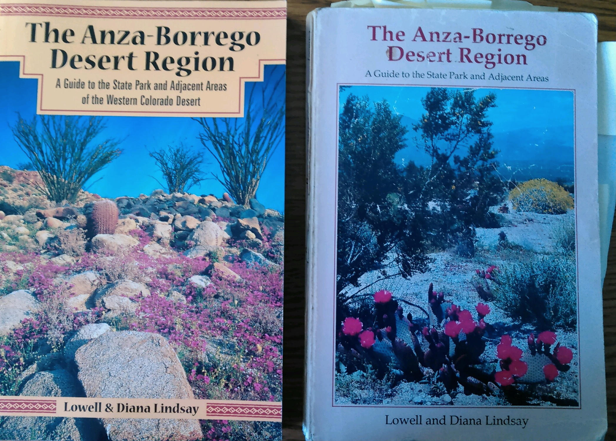 Anza Borrego By Lindsay.jpg