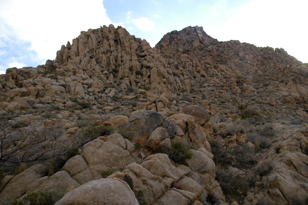 DSC_0293.JPG