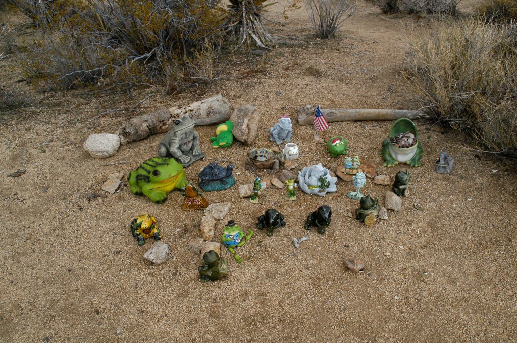 DSC_0303.JPG