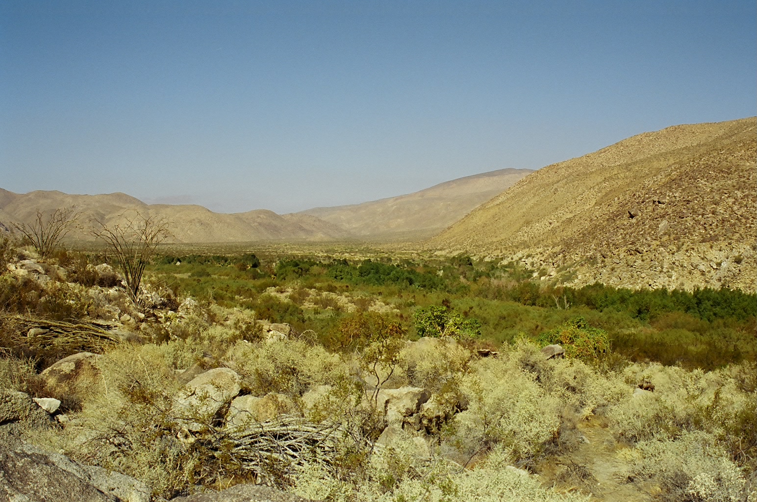 Anza Borrego Collins Valley.jpg