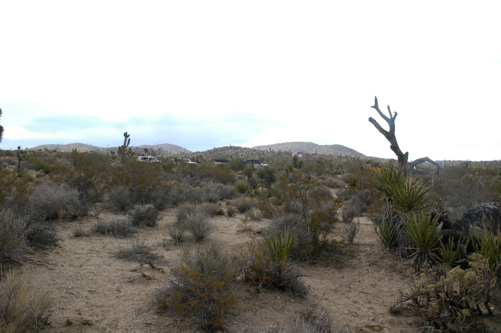 DSC_0308.JPG