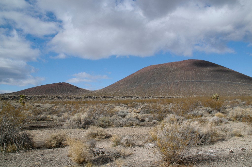DSC_0310.JPG