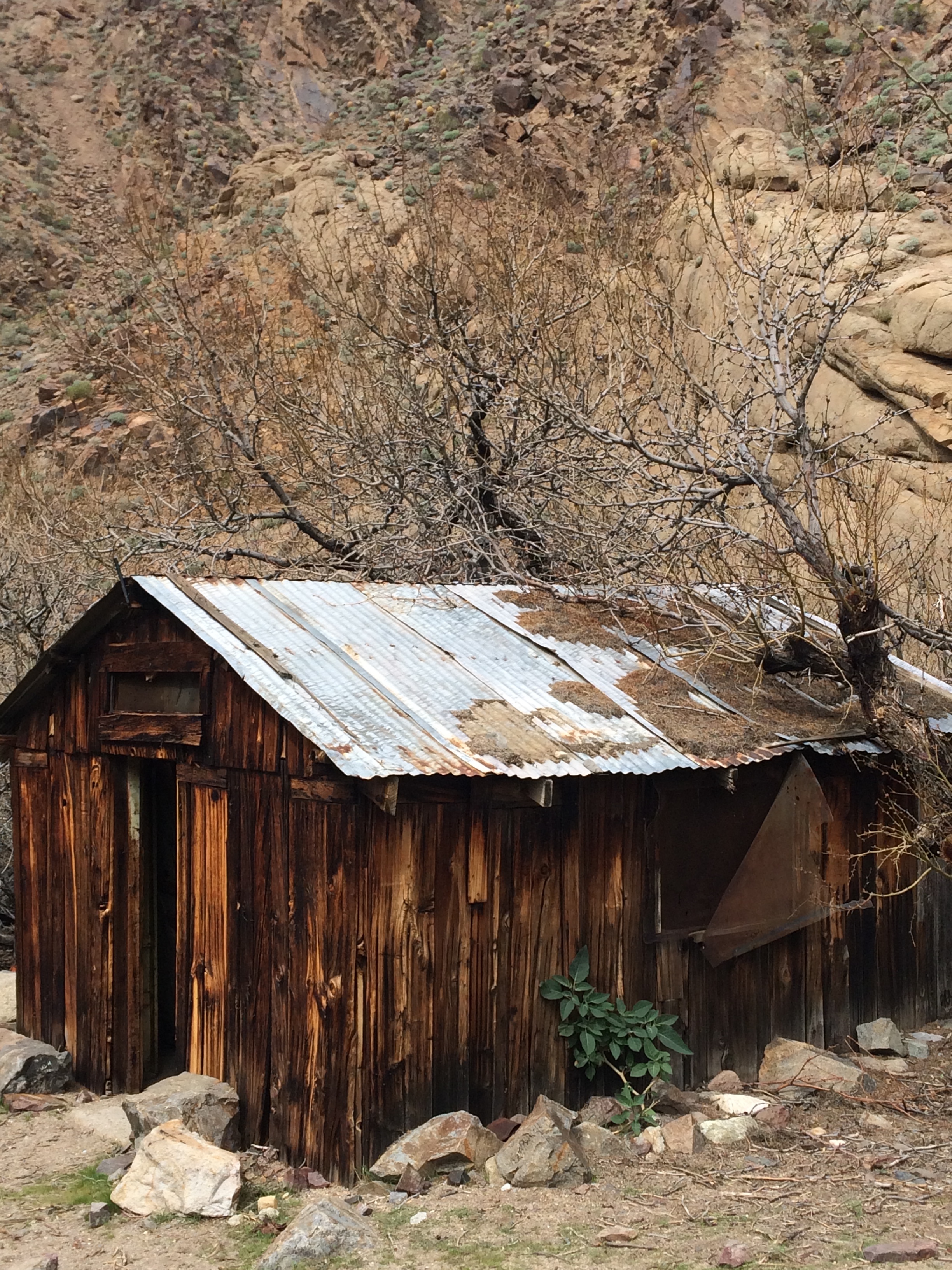 14 Cabin 9.JPG