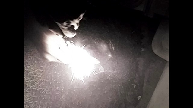 Mora Light My Fire Strike 02.jpg