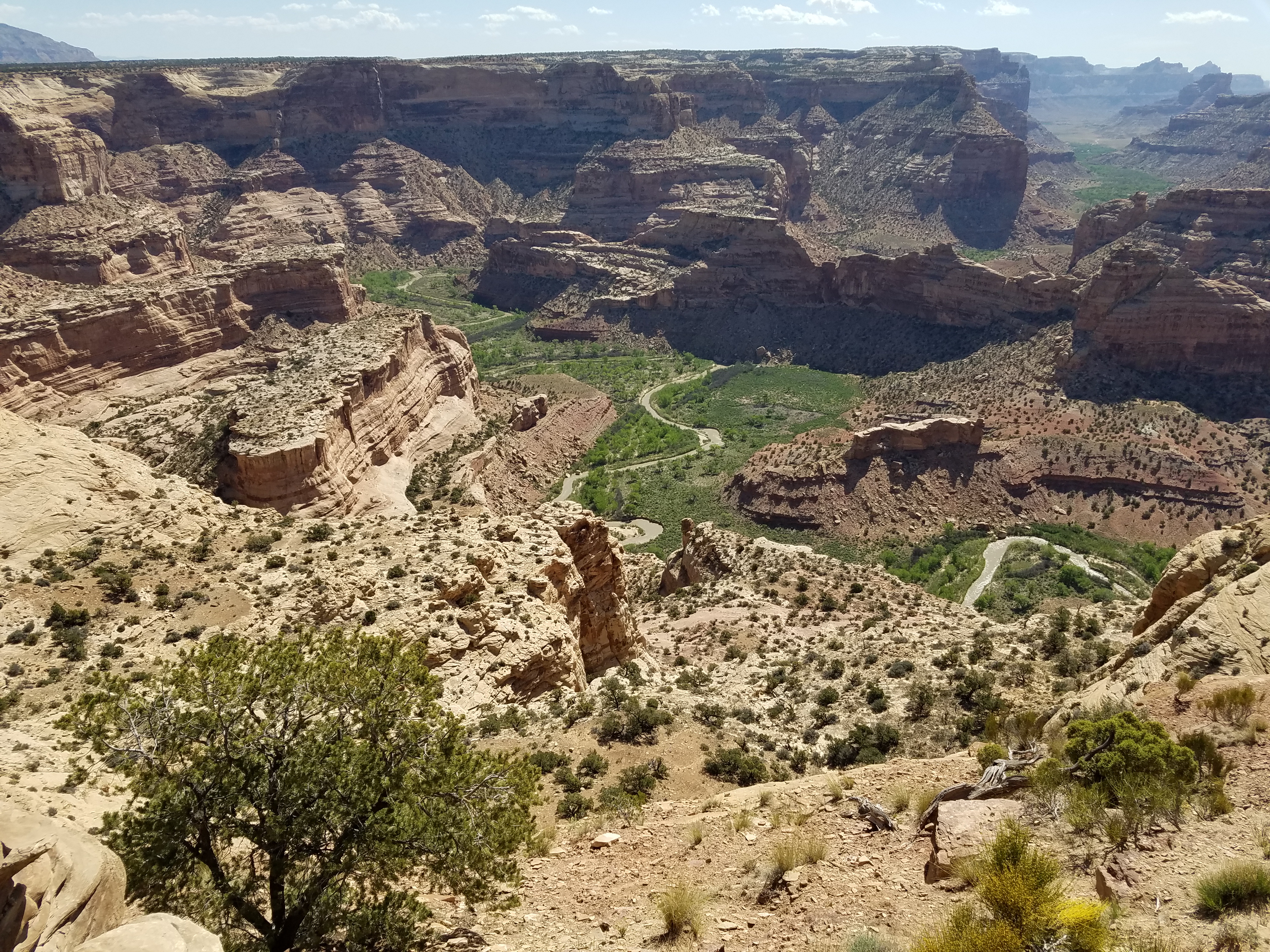 SanRafaelSwell03m.jpg