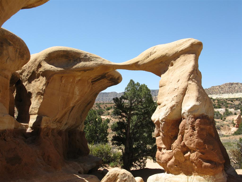 Devil's Garden1.JPG