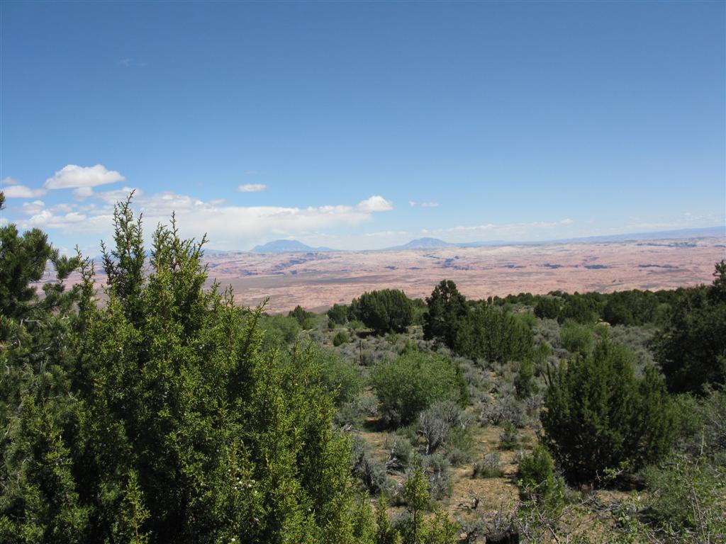 50 Mile Bench Road2.JPG