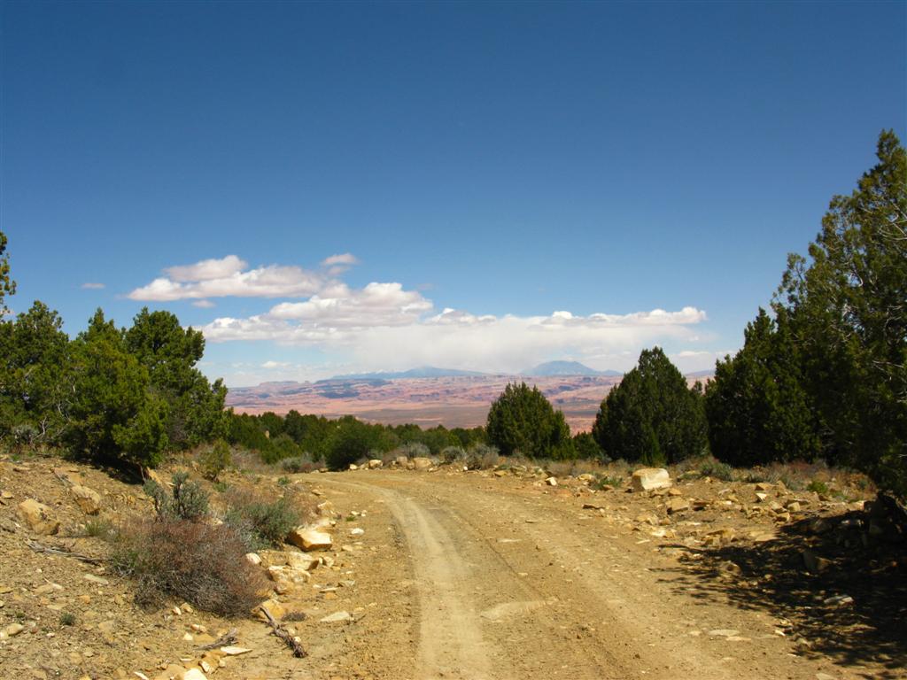 50 Mile Bench Road3.JPG